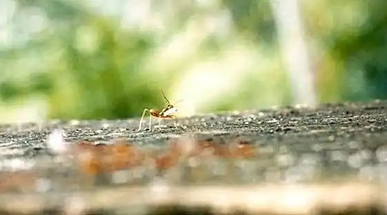 Сукааа официальный 8a9d9b